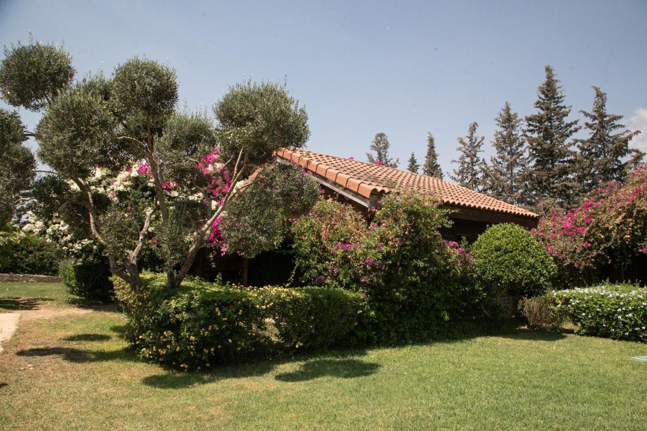 Dar Zitouna Sousse-Tunisie Extérieur photo